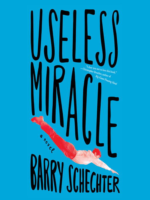 Title details for Useless Miracle by Barry Schechter - Wait list